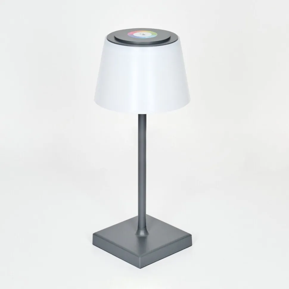 Lampe A Poser Burzaco Led Anthracite, 1 Lumiere, Changeur De Couleurs