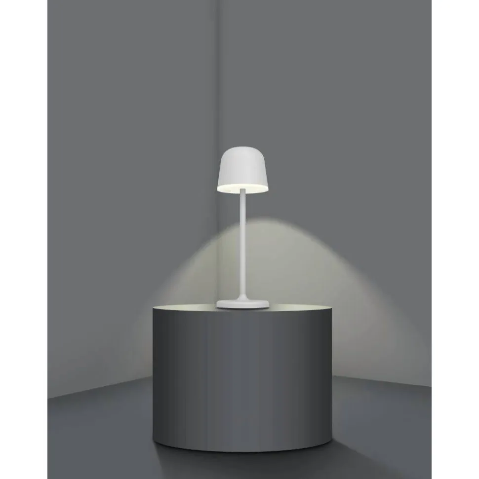 Lampe A Poser Eglo Mannera Led Gris, 1 Lumiere