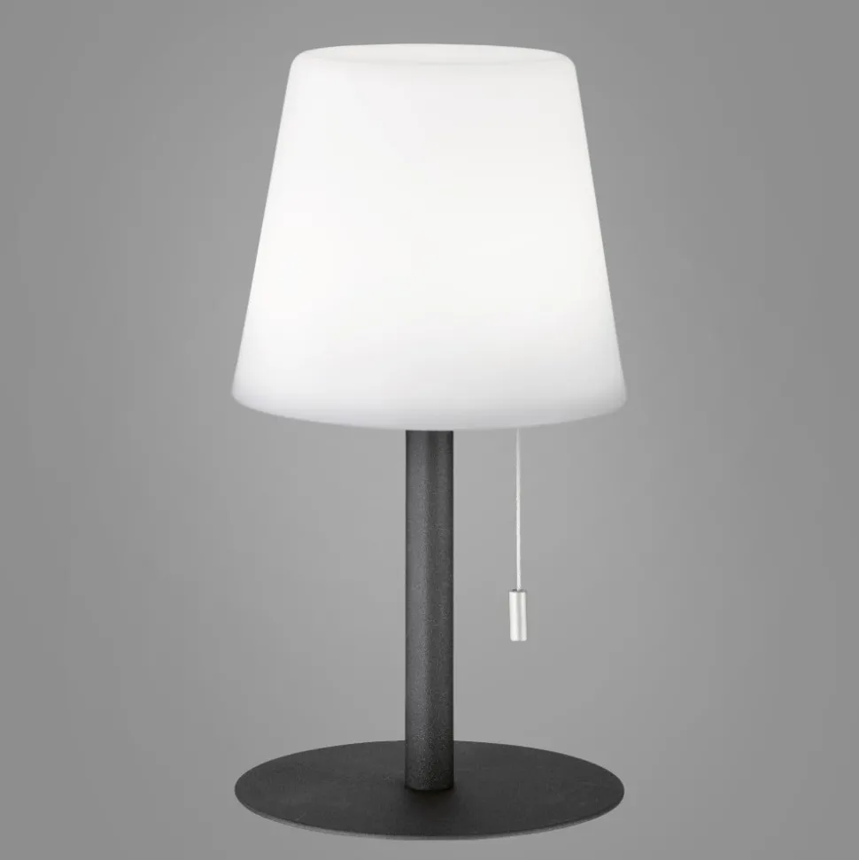 Lampe A Poser Fhl-Easy Garden Led Anthracite, 1 Lumiere, Changeur De Couleurs