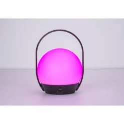 Lampe A Poser Lutec Cardi Led Noir, Blanc, 1 Lumiere, Changeur De Couleurs