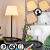Lampe A Poser Mayordomo Led Noir, 1 Lumiere