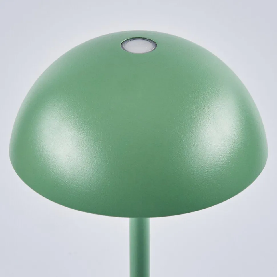 Lampe A Poser Pelaro Led Vert, 1 Lumiere