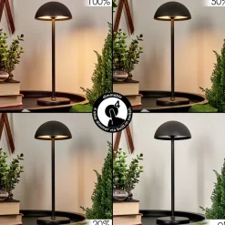 Lampe A Poser Pelaro Led Noir, 1 Lumiere