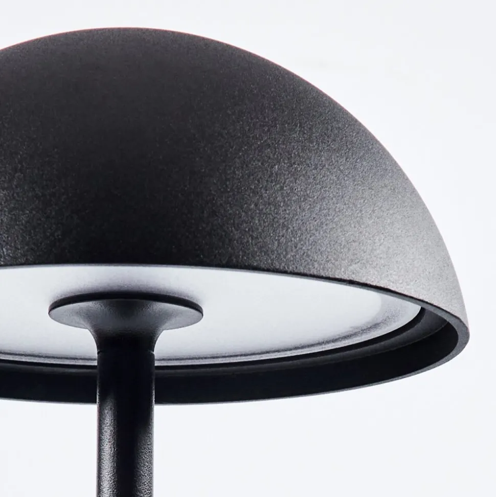Lampe A Poser Pelaro Led Noir, 1 Lumiere