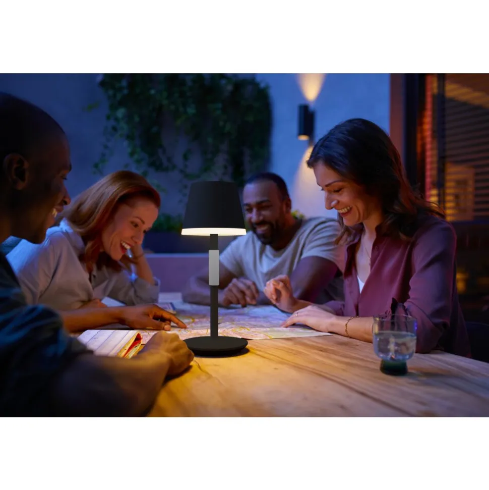 Lampe A Poser Philips Hue Go Led Gris, Noir, 1 Lumiere, Changeur De Couleurs