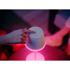 Lampe A Poser Philips Hue Go Led Vert, Blanc, 1 Lumiere, Changeur De Couleurs