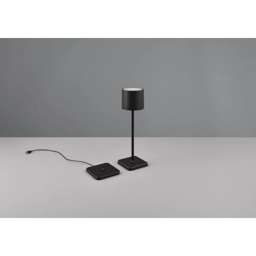 Lampe A Poser Reality Fernandez Led Noir, 1 Lumiere