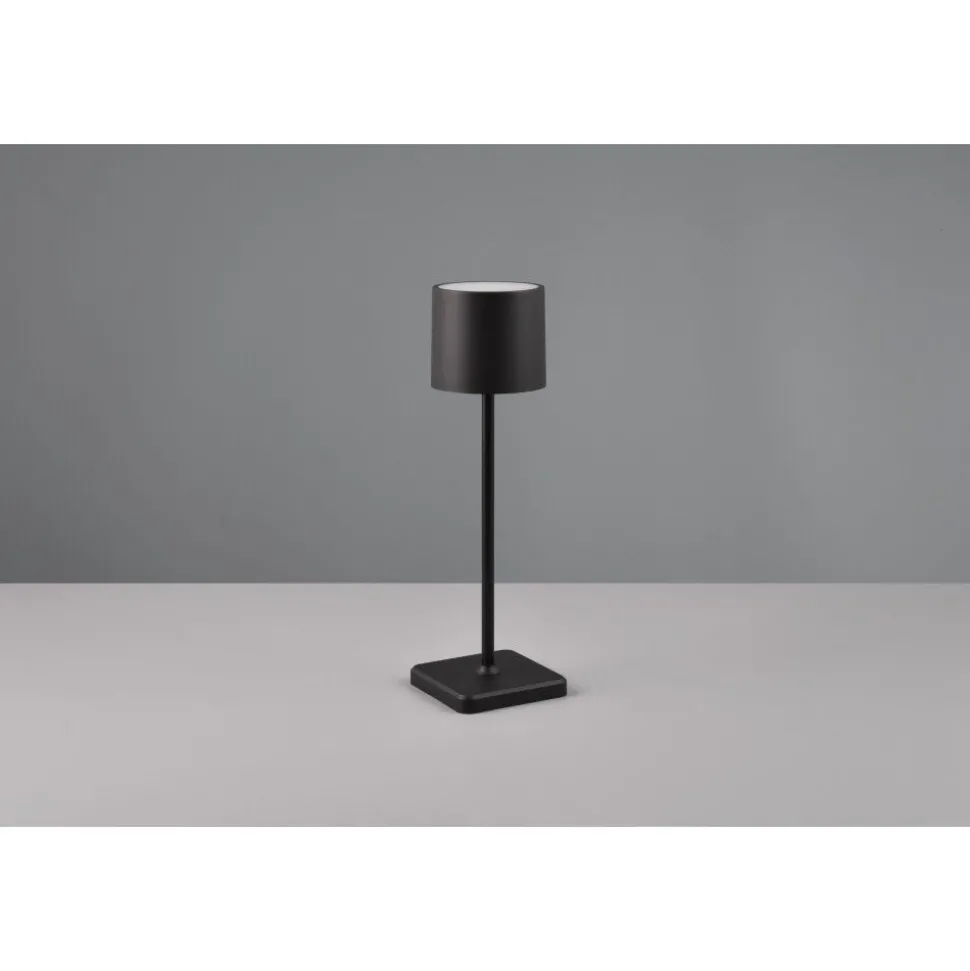 Lampe A Poser Reality Fernandez Led Noir, 1 Lumiere