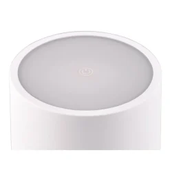Lampe A Poser Reality Fernandez Led Blanc, 1 Lumiere