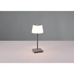 Lampe A Poser Reality Sanchez Led Anthracite, 1 Lumiere, Changeur De Couleurs