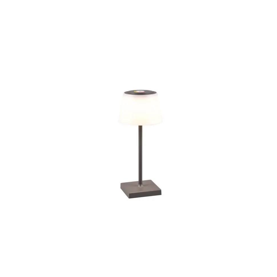 Lampe A Poser Reality Sanchez Led Anthracite, 1 Lumiere, Changeur De Couleurs