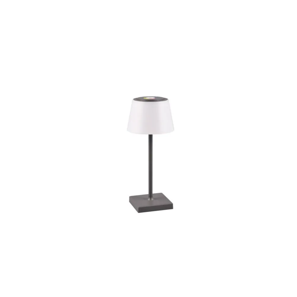 Lampe A Poser Reality Sanchez Led Anthracite, 1 Lumiere, Changeur De Couleurs