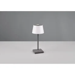 Lampe A Poser Reality Sanchez Led Anthracite, 1 Lumiere, Changeur De Couleurs
