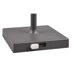 Lampe A Poser Reality Sanchez Led Anthracite, 1 Lumiere, Changeur De Couleurs