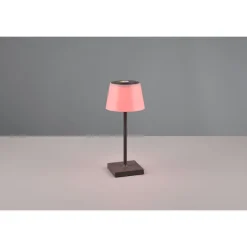 Lampe A Poser Reality Sanchez Led Anthracite, 1 Lumiere, Changeur De Couleurs
