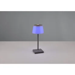 Lampe A Poser Reality Sanchez Led Anthracite, 1 Lumiere, Changeur De Couleurs