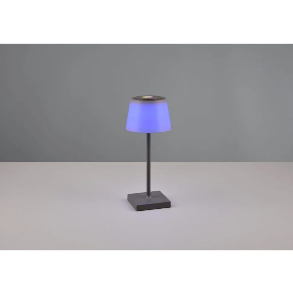 Lampe A Poser Reality Sanchez Led Anthracite, 1 Lumiere, Changeur De Couleurs