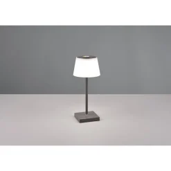 Lampe A Poser Reality Sanchez Led Anthracite, 1 Lumiere, Changeur De Couleurs