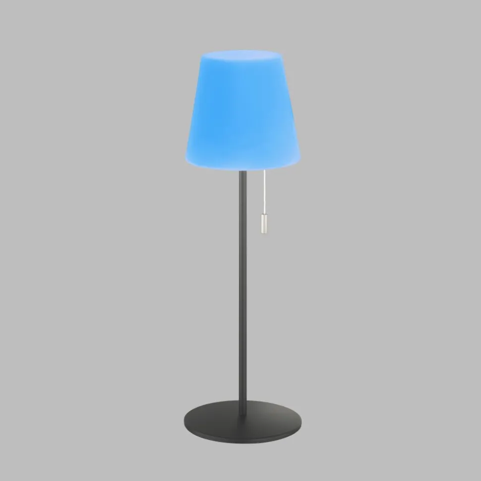 Lampe A Poser Schoner Wohnen-Kollektion Talent Led Anthracite, 1 Lumiere, Telecommandes, Changeur De Couleurs