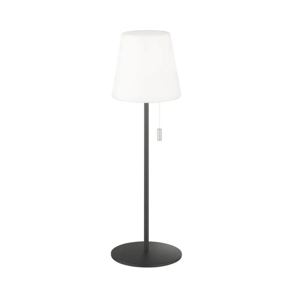 Lampe A Poser Schoner Wohnen-Kollektion Talent Led Anthracite, 1 Lumiere, Telecommandes, Changeur De Couleurs