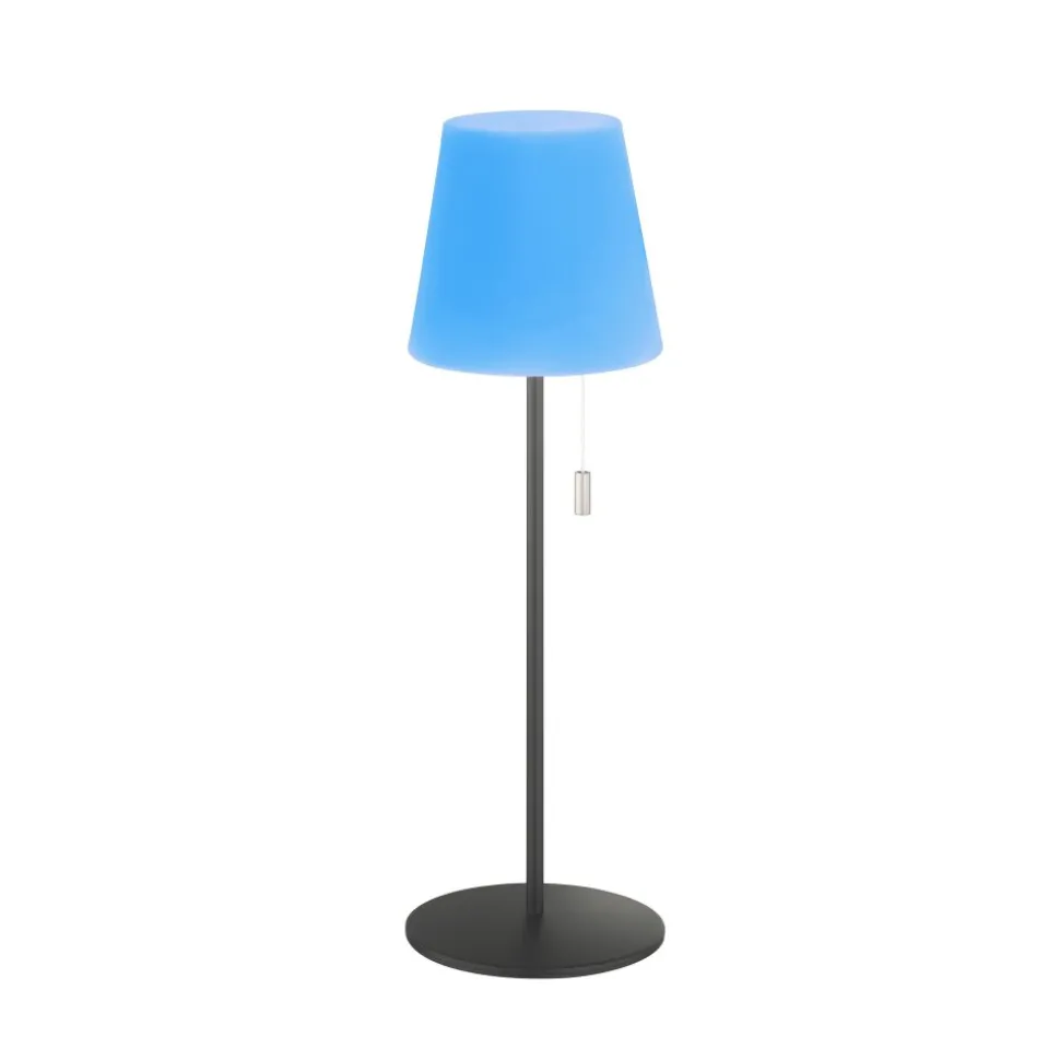 Lampe A Poser Schoner Wohnen-Kollektion Talent Led Anthracite, 1 Lumiere, Telecommandes, Changeur De Couleurs