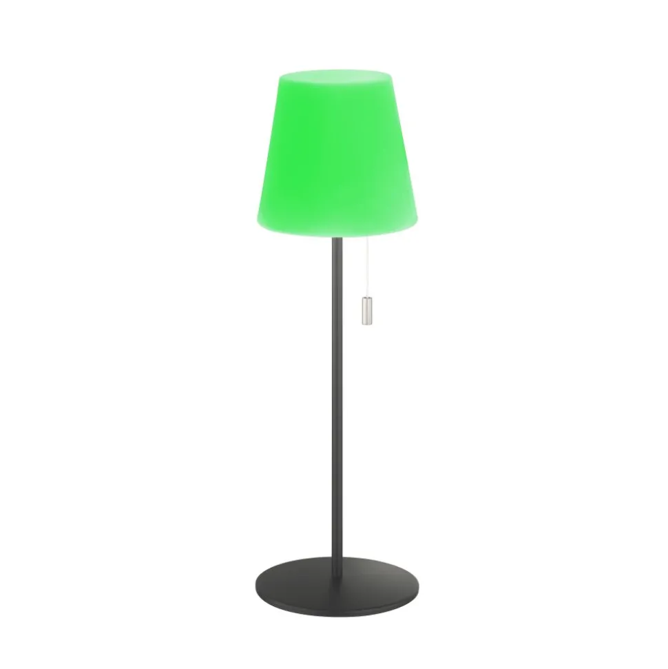 Lampe A Poser Schoner Wohnen-Kollektion Talent Led Anthracite, 1 Lumiere, Telecommandes, Changeur De Couleurs