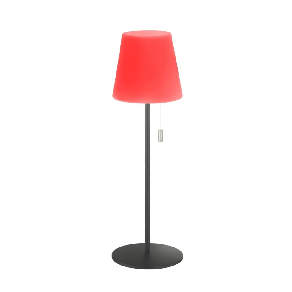 Lampe A Poser Schoner Wohnen-Kollektion Talent Led Anthracite, 1 Lumiere, Telecommandes, Changeur De Couleurs