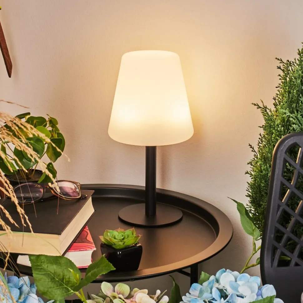 Lampe A Poser Zoume Solar Led Noir, 8 Lumieres, Changeur De Couleurs