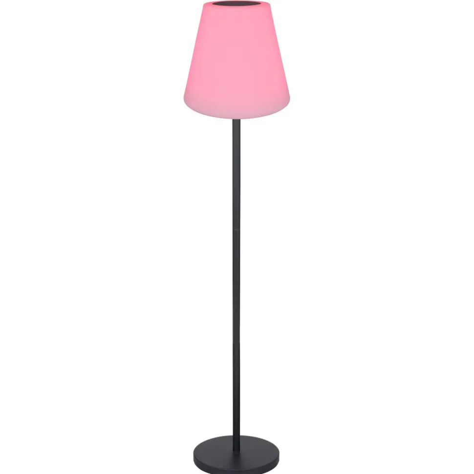 Lampe De Table Globo Solar Led Noir, 2 Lumieres, Telecommandes, Changeur De Couleurs