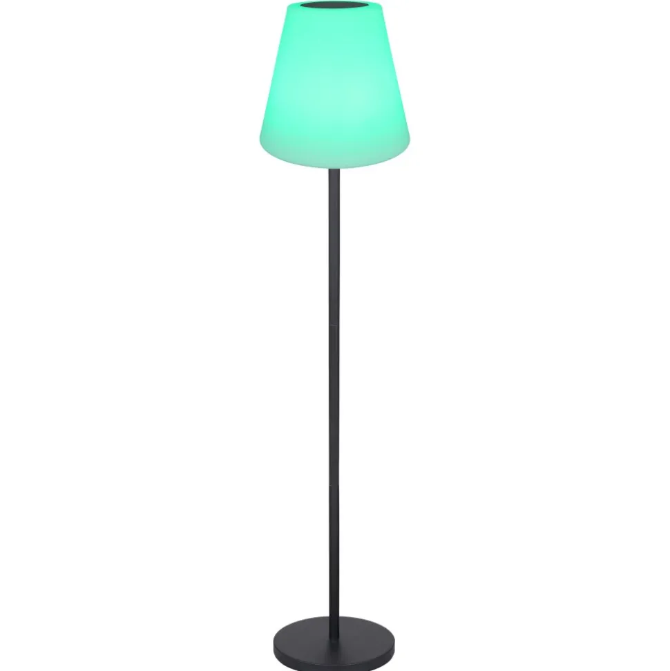 Lampe De Table Globo Solar Led Noir, 2 Lumieres, Telecommandes, Changeur De Couleurs
