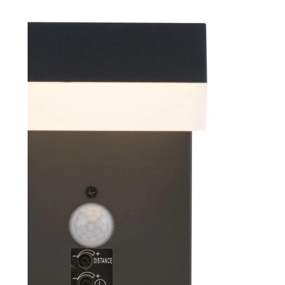 Lampe D'Exterieur Globo Viro Anthracite, 1 Lumiere, Detecteur De Mouvement
