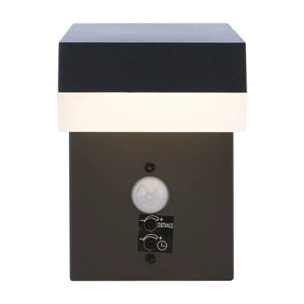 Lampe D'Exterieur Globo Viro Anthracite, 1 Lumiere, Detecteur De Mouvement