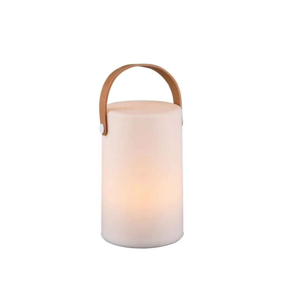 Lampe D'Exterieur Reality Aruba Led Blanc, 1 Lumiere, Changeur De Couleurs