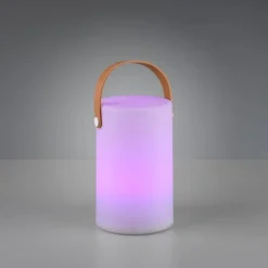 Lampe D'Exterieur Reality Aruba Led Blanc, 1 Lumiere, Changeur De Couleurs