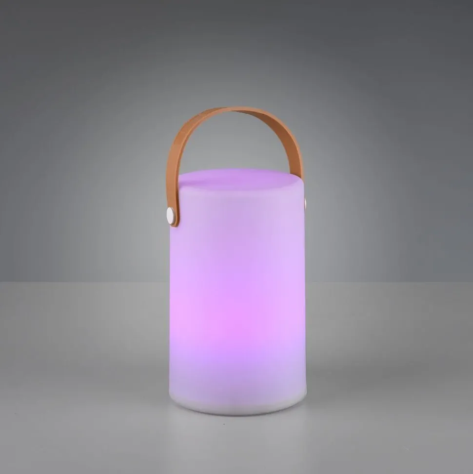 Lampe D'Exterieur Reality Aruba Led Blanc, 1 Lumiere, Changeur De Couleurs