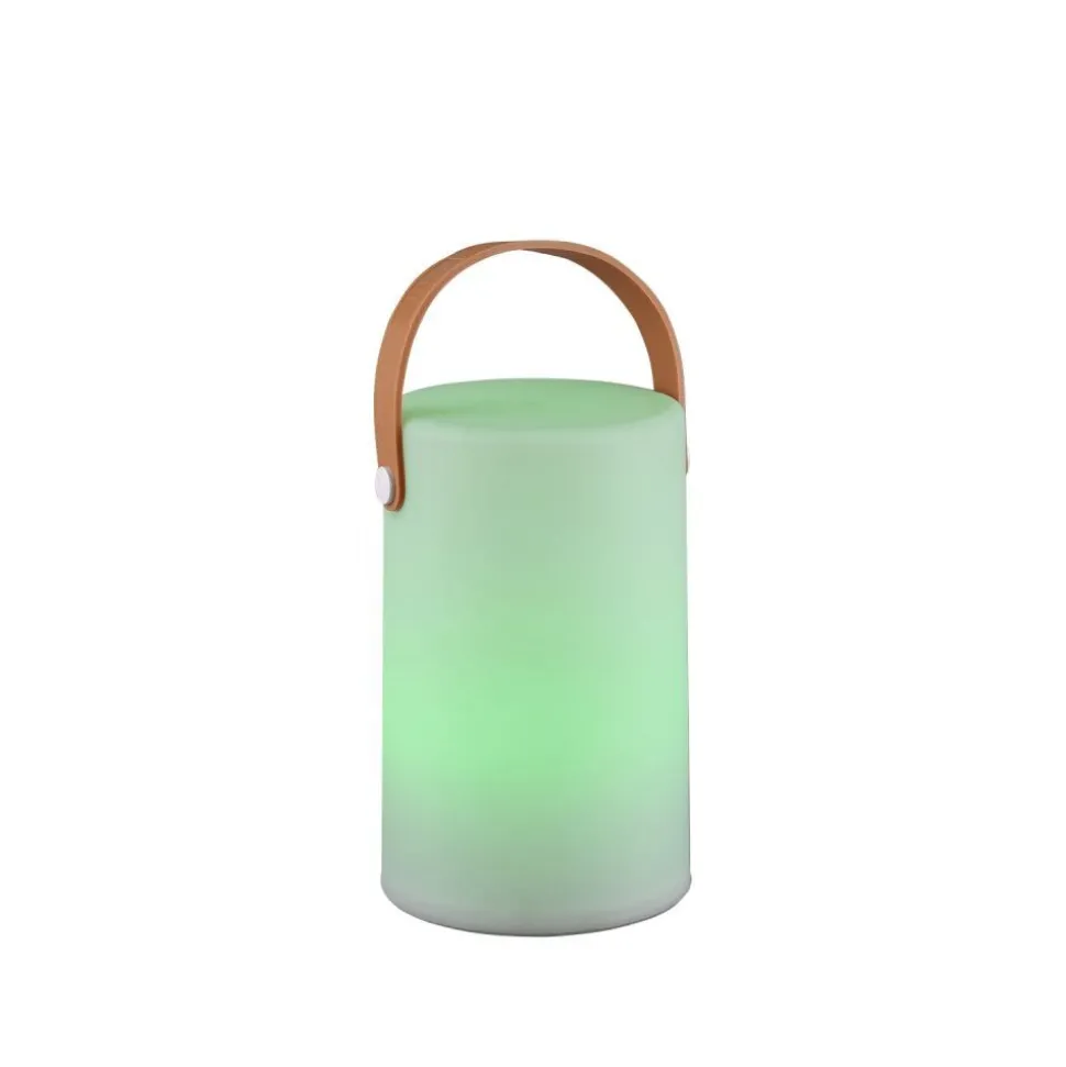 Lampe D'Exterieur Reality Aruba Led Blanc, 1 Lumiere, Changeur De Couleurs