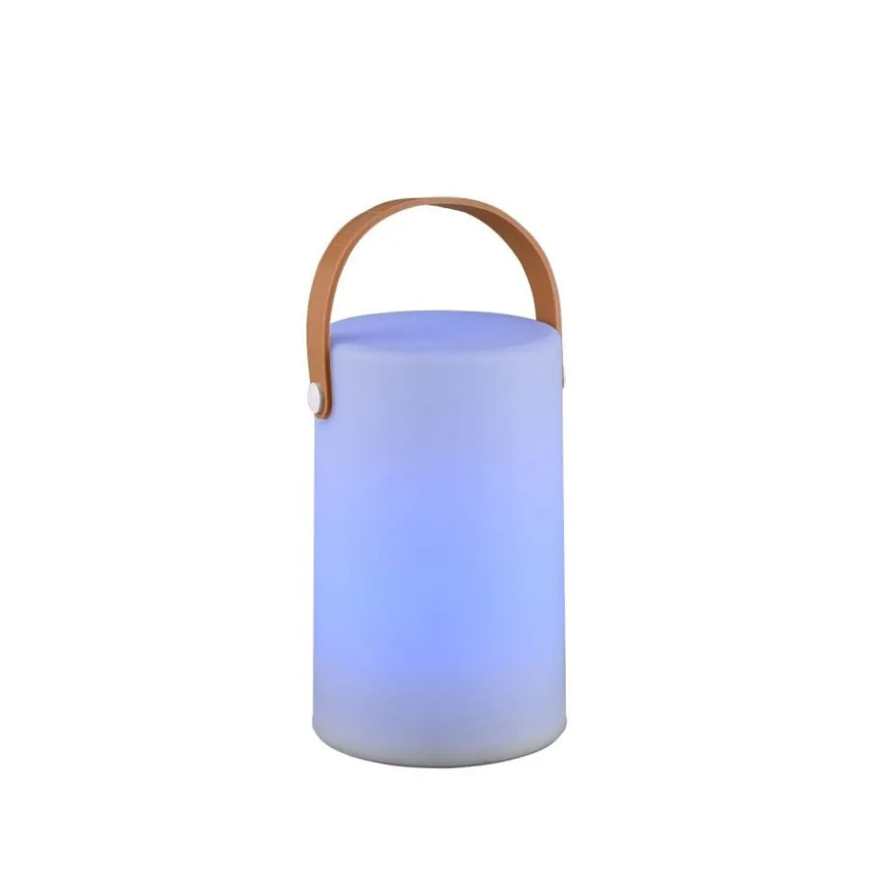 Lampe D'Exterieur Reality Aruba Led Blanc, 1 Lumiere, Changeur De Couleurs