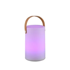 Lampe D'Exterieur Reality Aruba Led Blanc, 1 Lumiere, Changeur De Couleurs