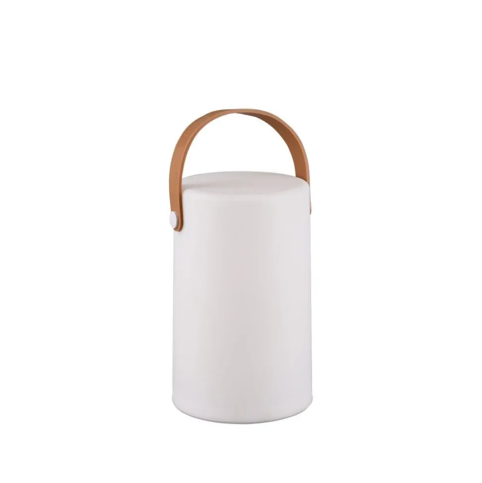 Lampe D'Exterieur Reality Aruba Led Blanc, 1 Lumiere, Changeur De Couleurs
