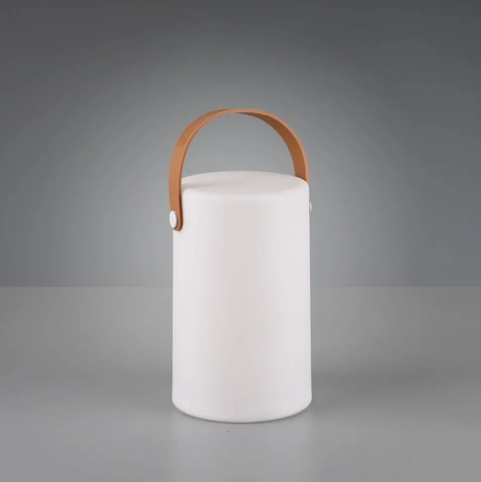 Lampe D'Exterieur Reality Aruba Led Blanc, 1 Lumiere, Changeur De Couleurs