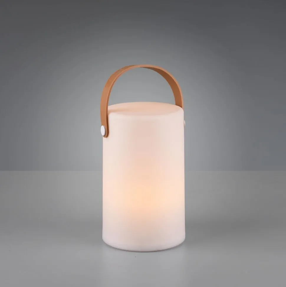 Lampe D'Exterieur Reality Aruba Led Blanc, 1 Lumiere, Changeur De Couleurs