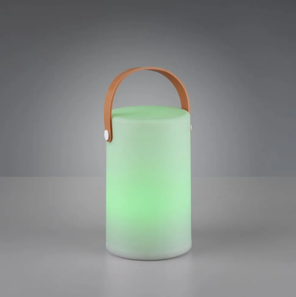 Lampe D'Exterieur Reality Aruba Led Blanc, 1 Lumiere, Changeur De Couleurs