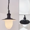 Lampe D'Exterieur Surnu Noir, 1 Lumiere