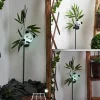 Lampe Solaire Beo Led Vert, Noir, 1 Lumiere