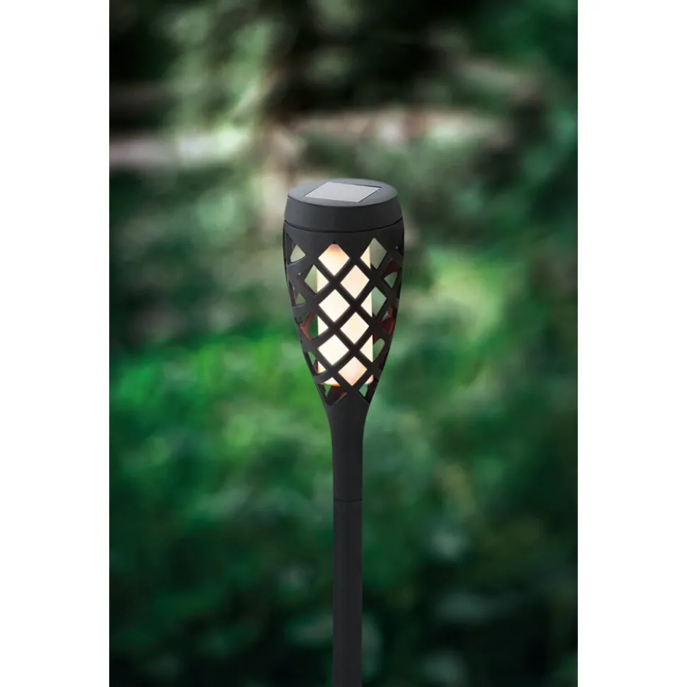 Lampe Solaire Eglo Fackel Led Noir, 10 Lumieres