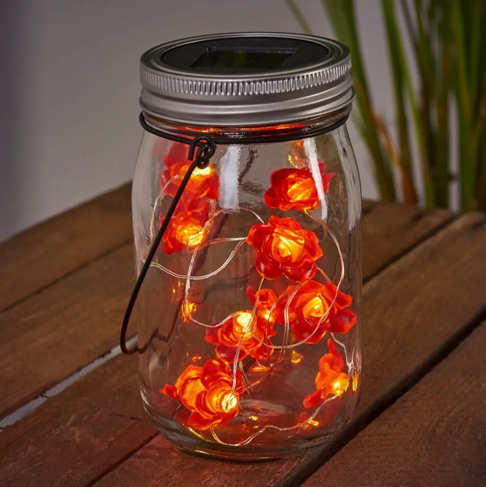 Lampe Solaire Hasselt Led Vert, Rose, Rouge, Argente, Transparent, 10 Lumieres