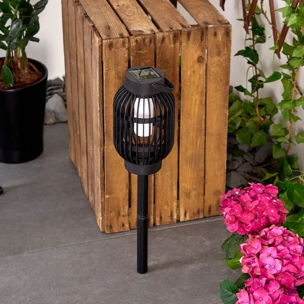 Lampe Solaire Joinville Led Noir, 1 Lumiere