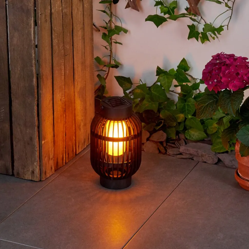 Lampe Solaire Joinville Led Noir, 1 Lumiere
