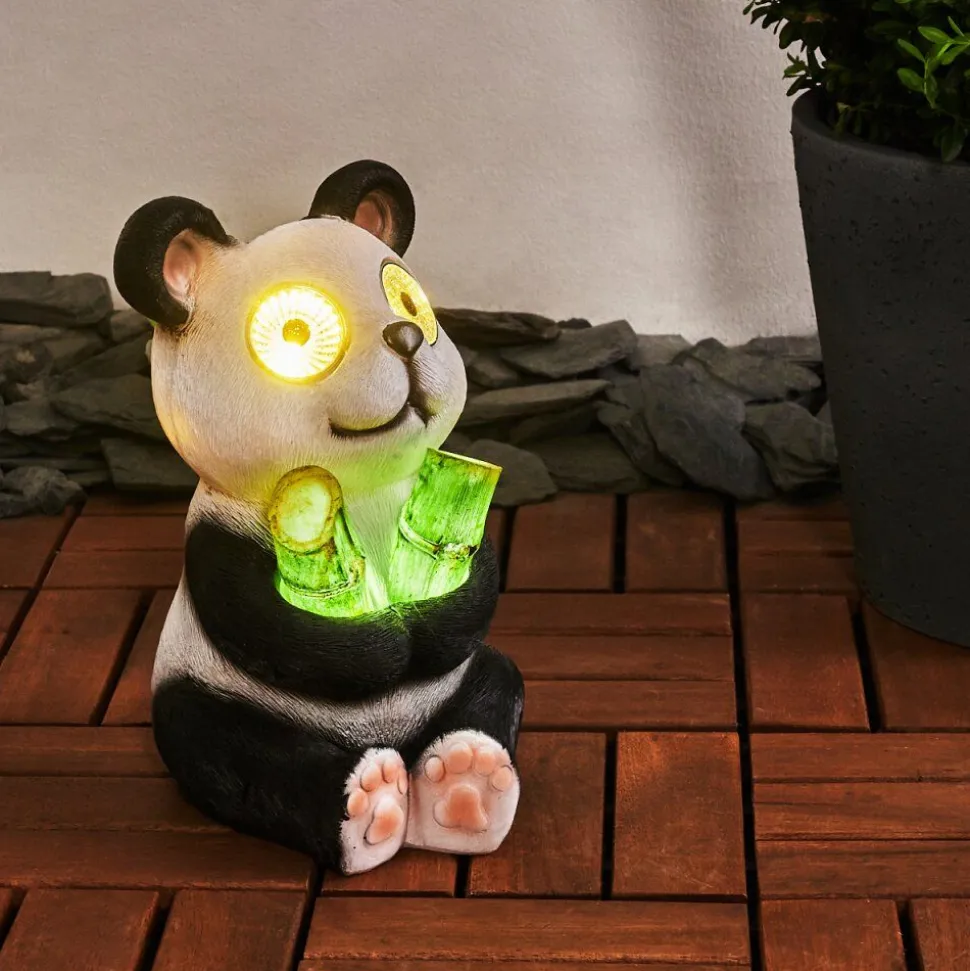 Lampe Solaire Pandia Led Vert, Rose, Noir, Blanc, 2 Lumieres