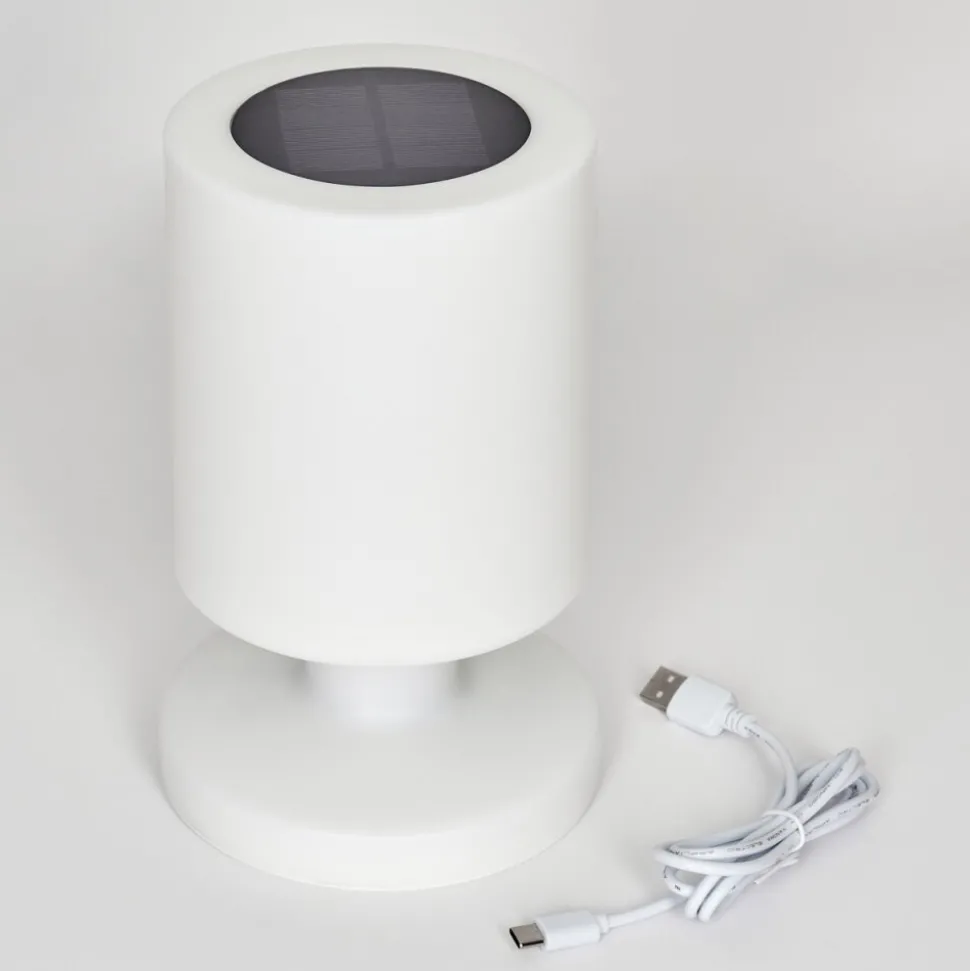 Lampe Solaires Pontaut Led Blanc, 1 Lumiere